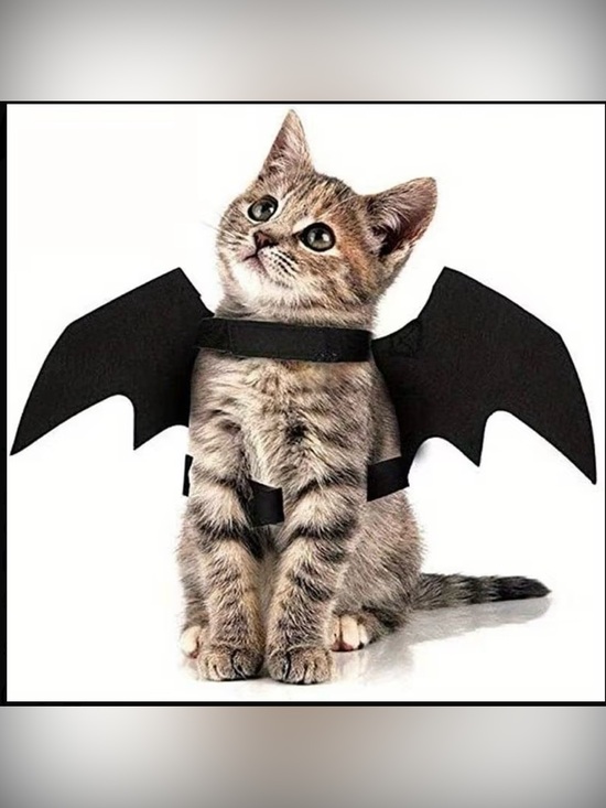 Other - Black Bat Wings Pet Costume Size Small Halloween Cat Dog Costume